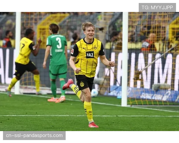 德甲U21球员12人进球创历史 年轻球员培养体系见效